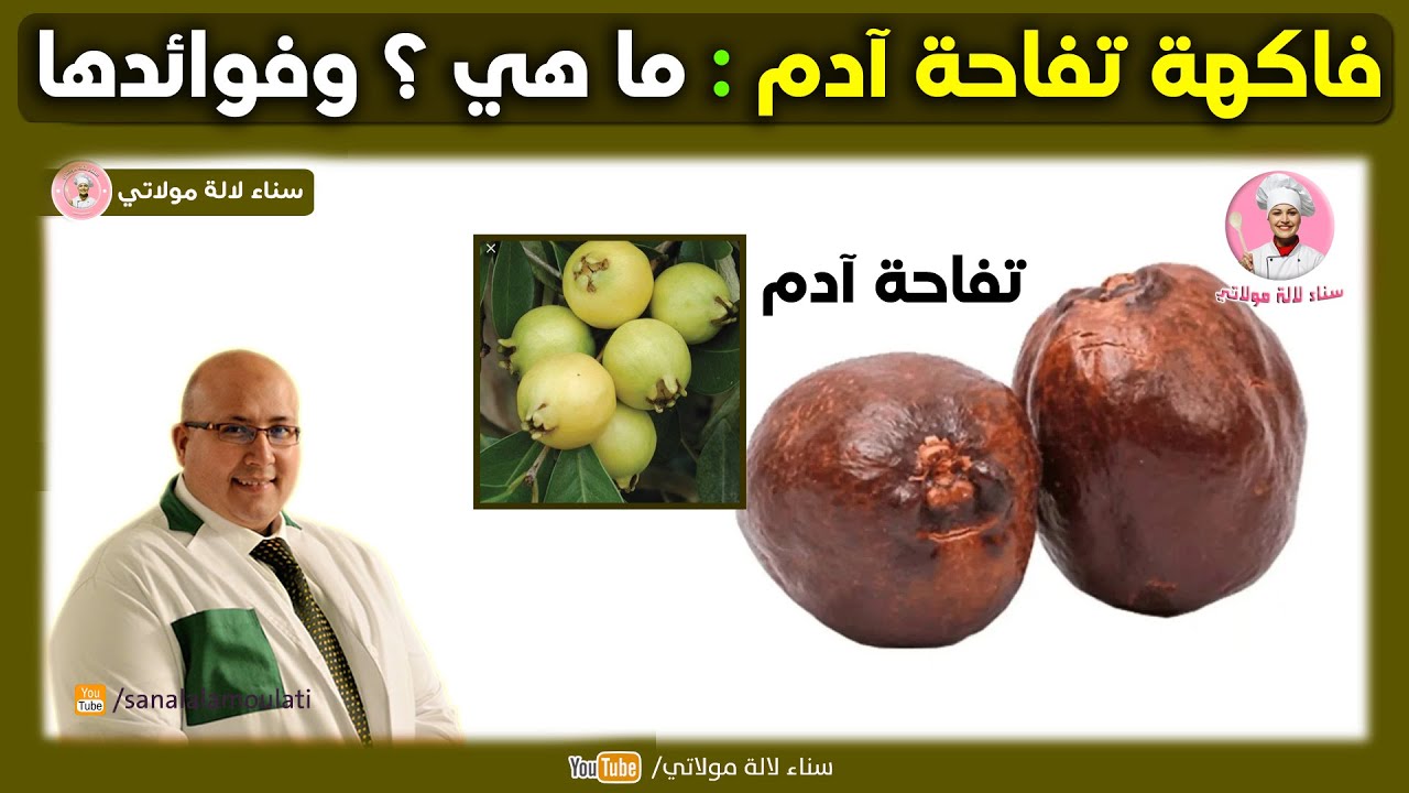 فاكهة تفاحة آدم : ما هي ؟ وماهي فوائدها | الدكتور عماد ميزاب Imad Mizab