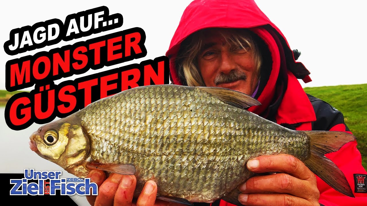 FISCH auf FISCH im WINTER? ERFOLGSMETHODE für KAPITALE GÜSTERN - Unser Ziel ist Fisch mit Jörg Ovens