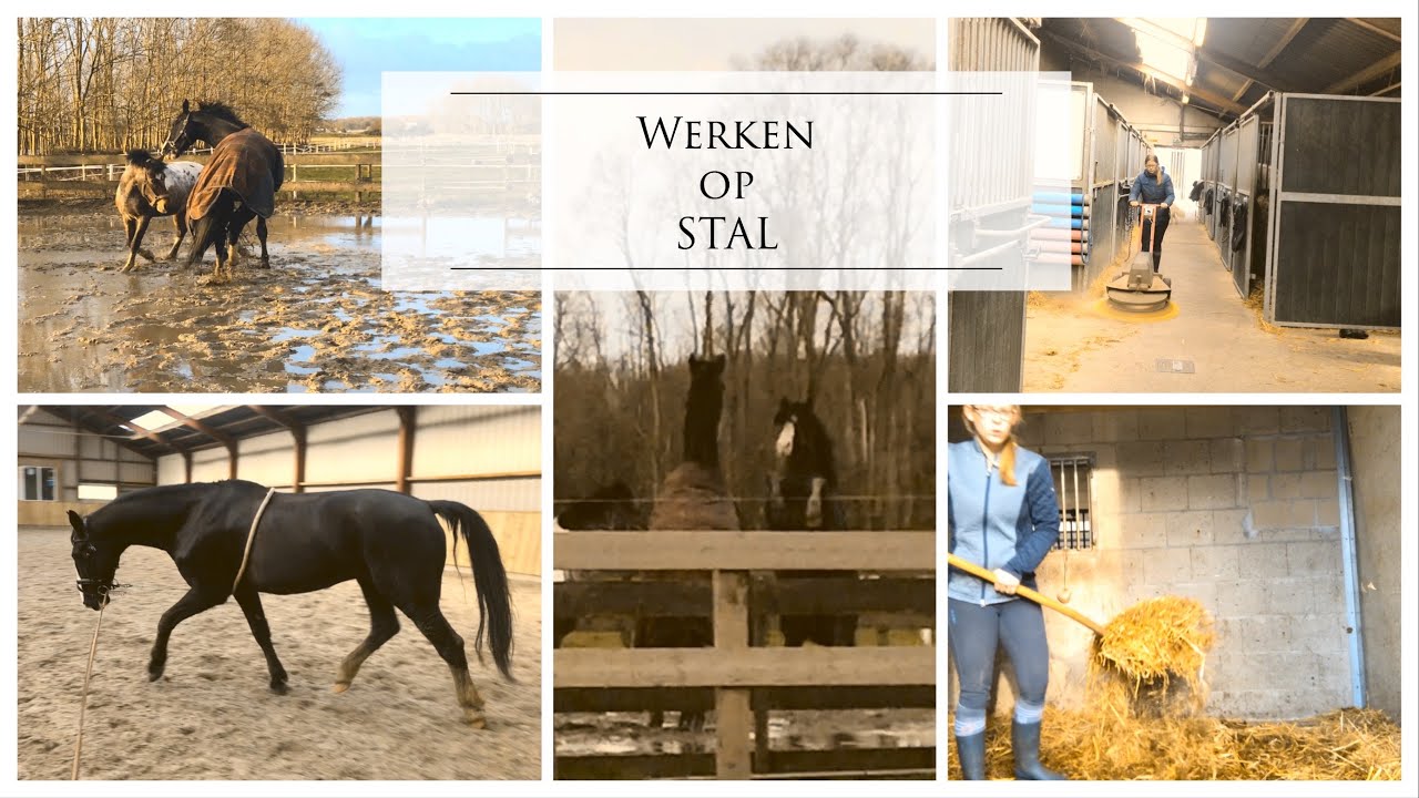 Werken op stal!! + WINACTIE