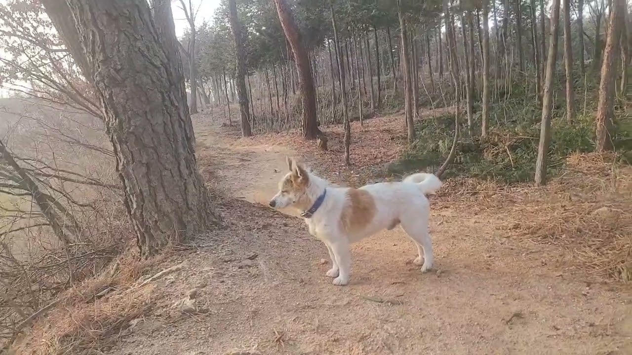 멍군이는 너무 과묵해요!