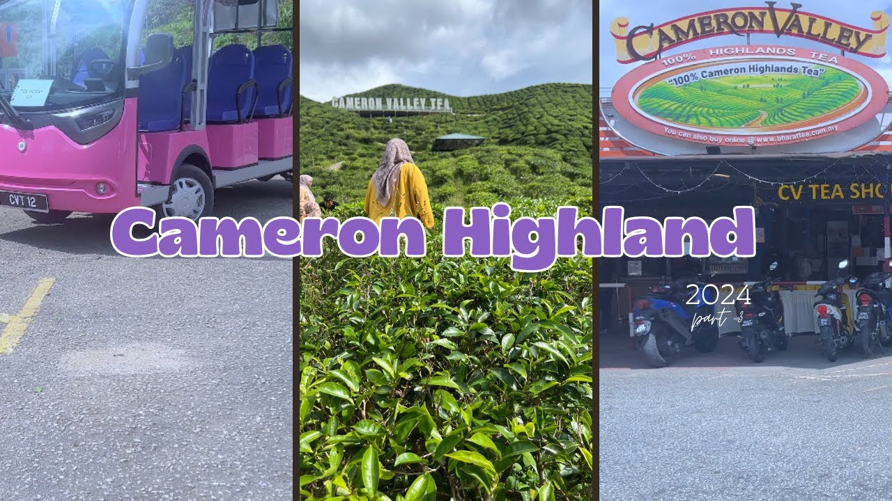 last day, Shopping at Kea Farm, buggy ride at Cameron Valley Tea🍃