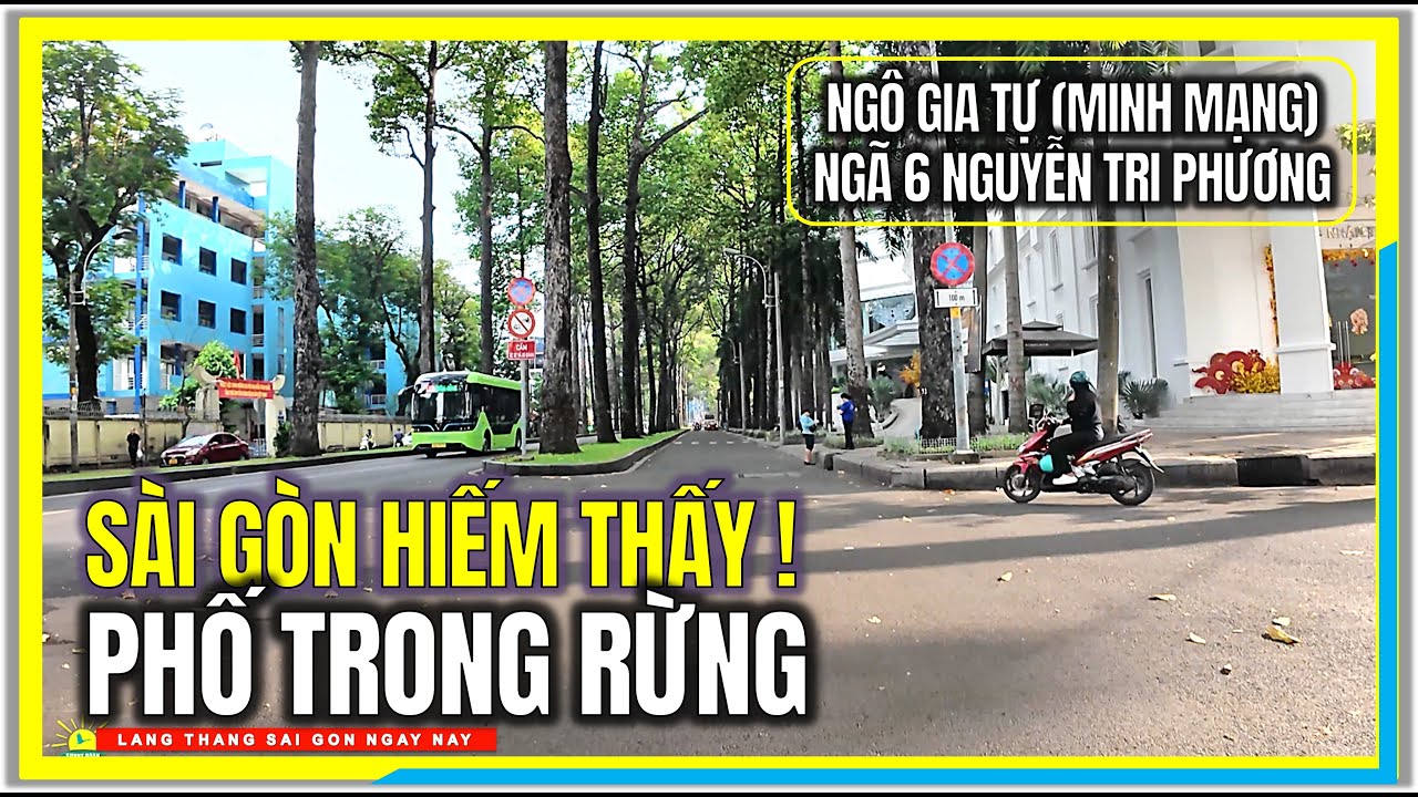 SÀI GÒN HIẾM THẤY ! PHỐ TRONG RỪNG | NGÔ GIA TỰ {MINH MẠNG) | NGÃ 6 NGUYỄN TRI PHƯƠNG CHỢ LỚN
