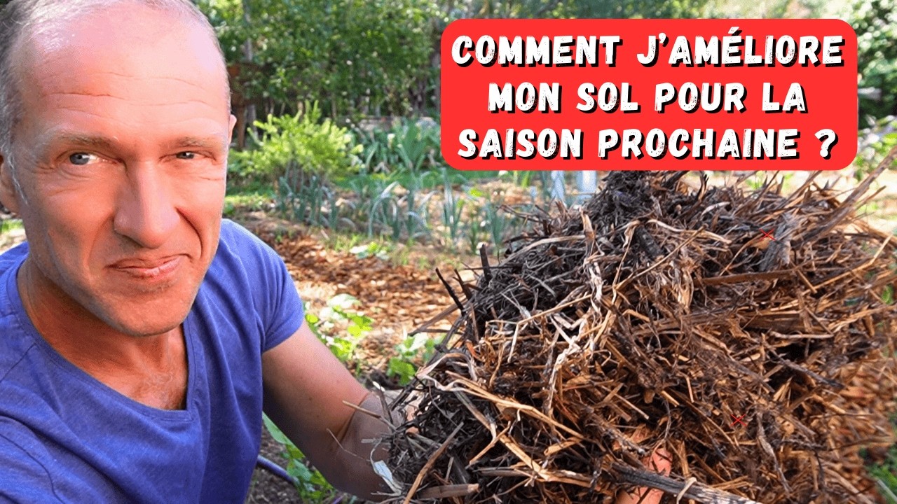 Fumier ? Compost ? Paillage ? Travail de sol ? Go pour améliorer une parcelle de potager
