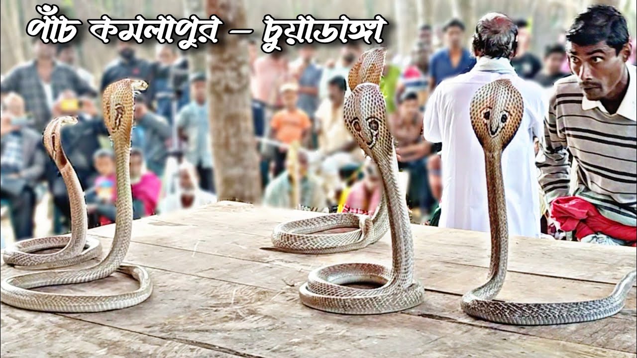 ওও... কালির নয়ন জলে - সাপুড়ে তাহের
