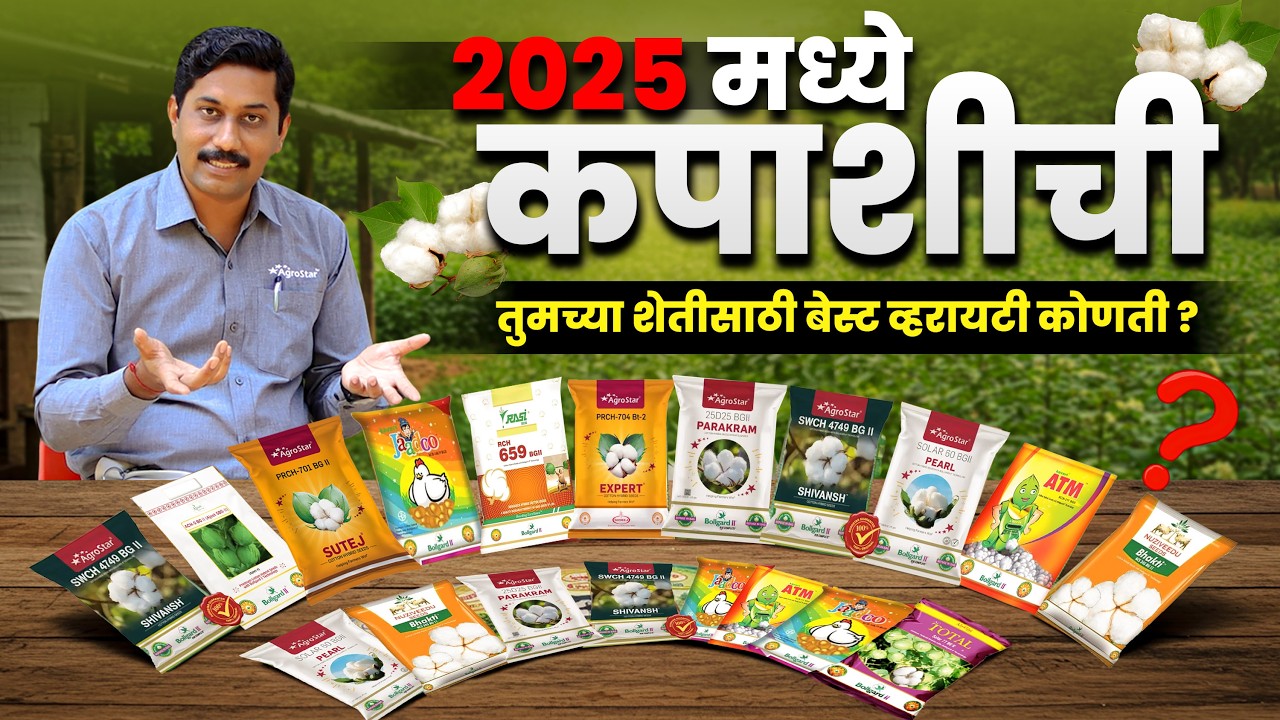 2025 चे बेस्ट कपाशी वाण 🤑 | Kapus Biyane | Cotton Farming | Kapus Top Variety | AgroStar