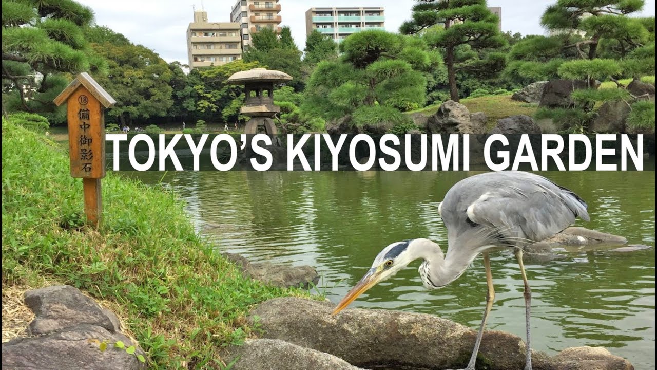 Tokyo&rsquo;s Japanese Garden Experience | Kiyosumi Teien 清澄庭園