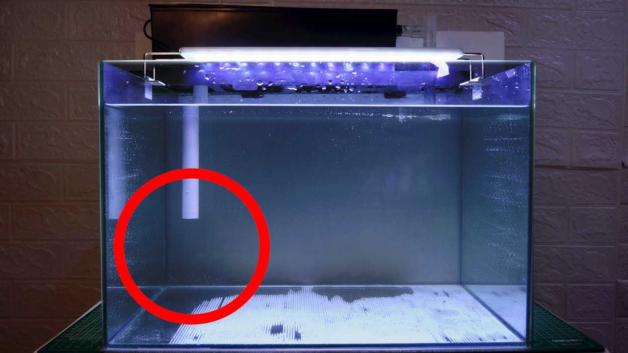 How To Hide The Pump For Top Filter Aquarium