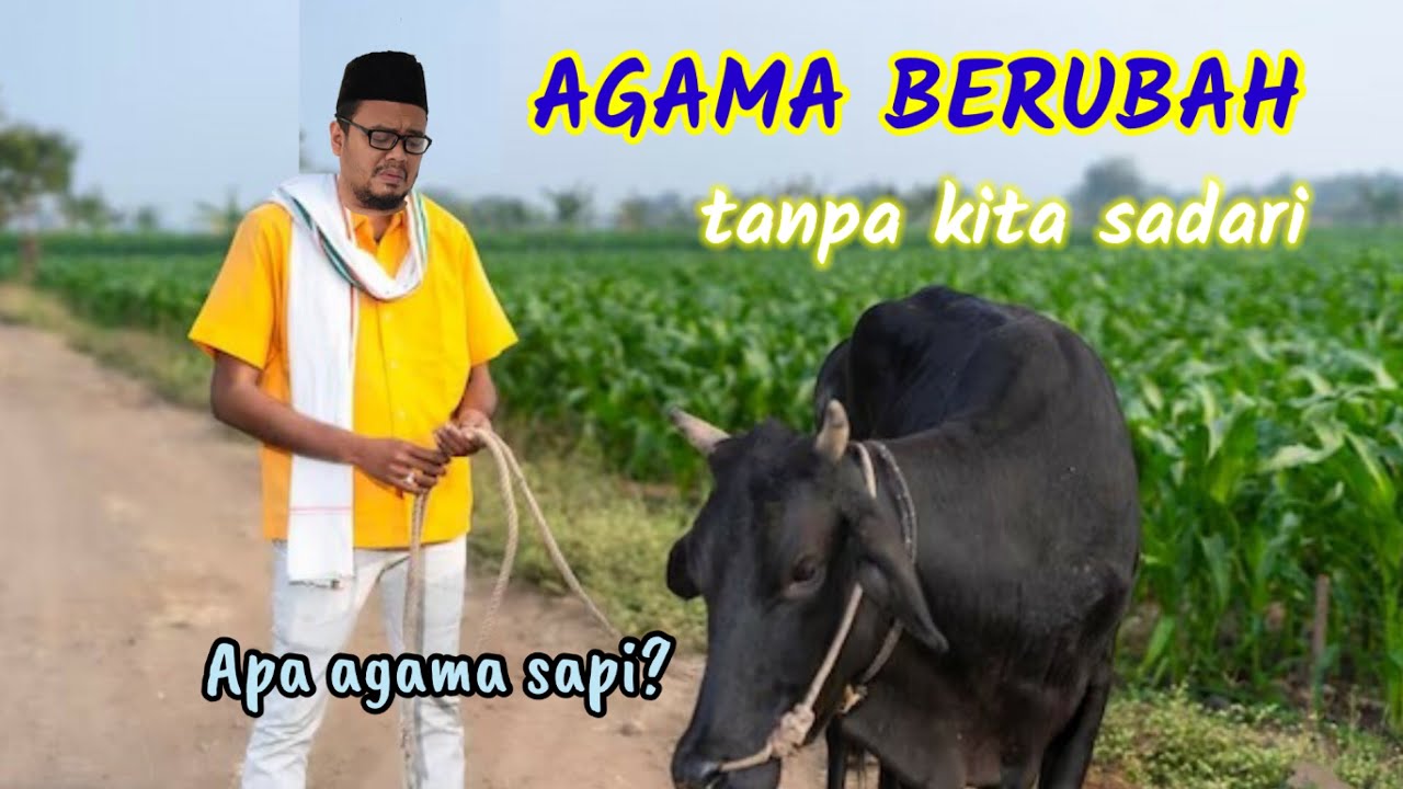 Eps 595 | MENGAPA ORANG HINDU INDIA MEMUJA SAPI? KARENA BUDDHA!?