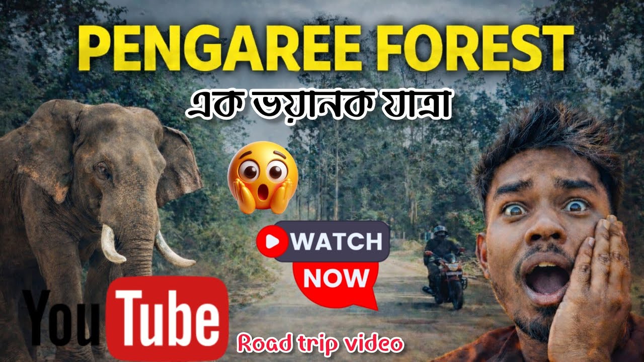 জংঘলৰ মাজত এক ভয়ানক যাত্ৰা 😱😊 Pengaree Forest//Road trip vlog...