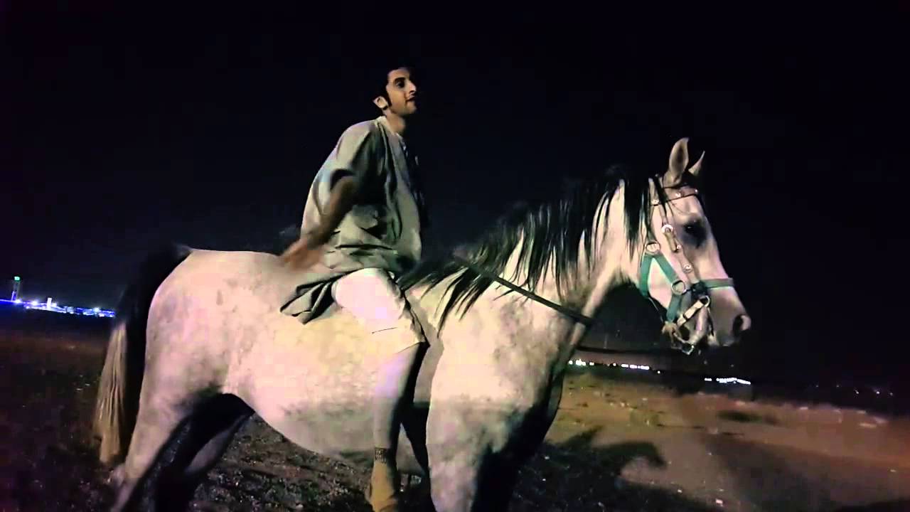 أحد طلاب طريقتي في الركوب يشرح تجربته ويتكلم عنها ^_^