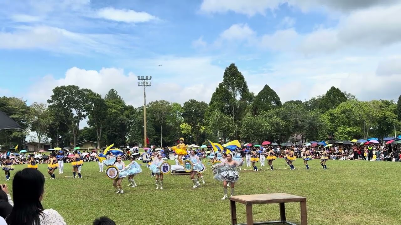 DRUM AND LYRE DAMILAG ELEMENTARY SCHOOL