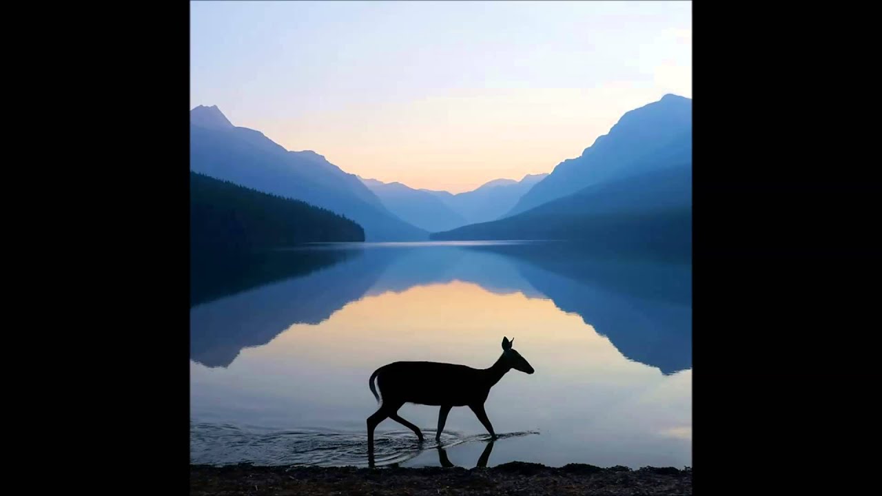 Sam Harris - Guided Meditation - 60 minute edit