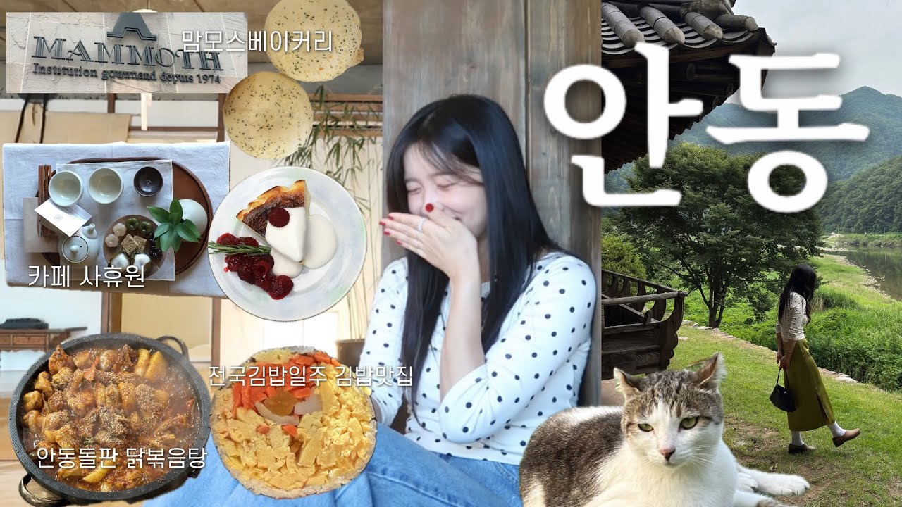 vlog.맛따라간 1박2일 안동 여행🍚/안동 여행 저만 따라 오세오./모든 곳 다 성공했어요🤍
