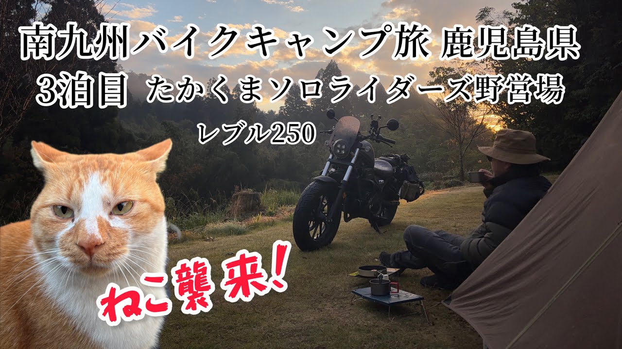 【バイクキャンプ旅】南九州#3 たかくまソロライダーズ野営場 ねこ襲来！ 鹿児島県 伊佐市 レブル250 ツーリング Motorcycle camping Reble250