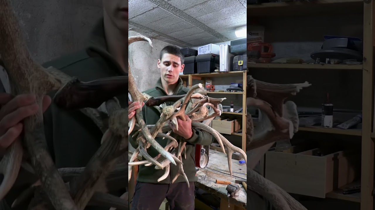Comment customiser ton opinel avec un bois de cerf !￼ #chasse #couteau #coutellerie #savoirfaire