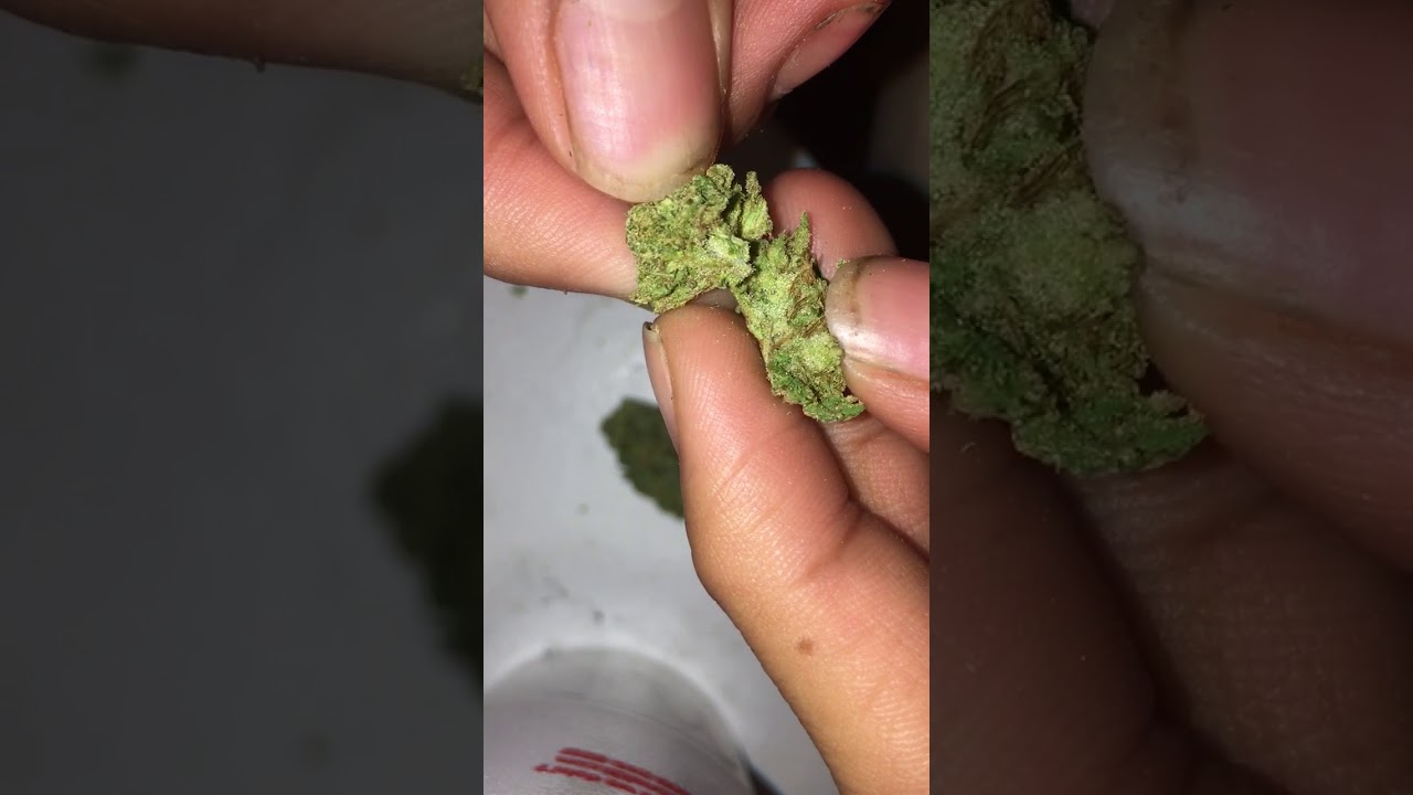 tangerine kush