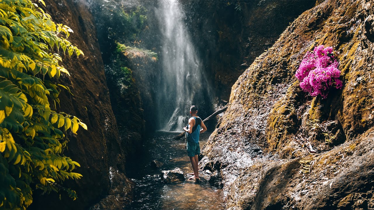 Highland Waterfall Tobago, Escape the crowds to your own waterfall oasis in the forest! Trini surfer