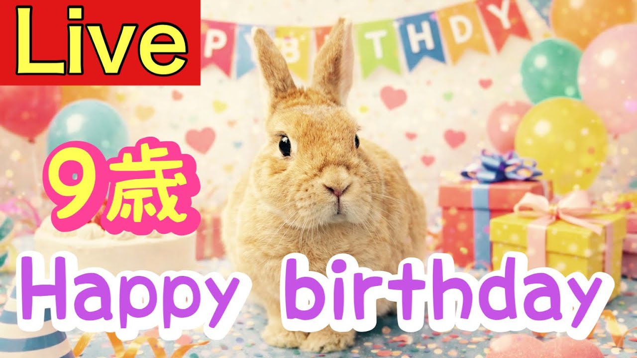 うさぎの部屋んぽLIVE配信🐰ちゃちゃまるの誕生日配信🍰