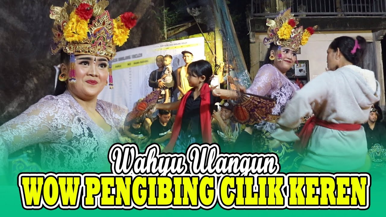 PENGIBING CILIK JUARA‼️Risma Ngibur di Sudaji Belong