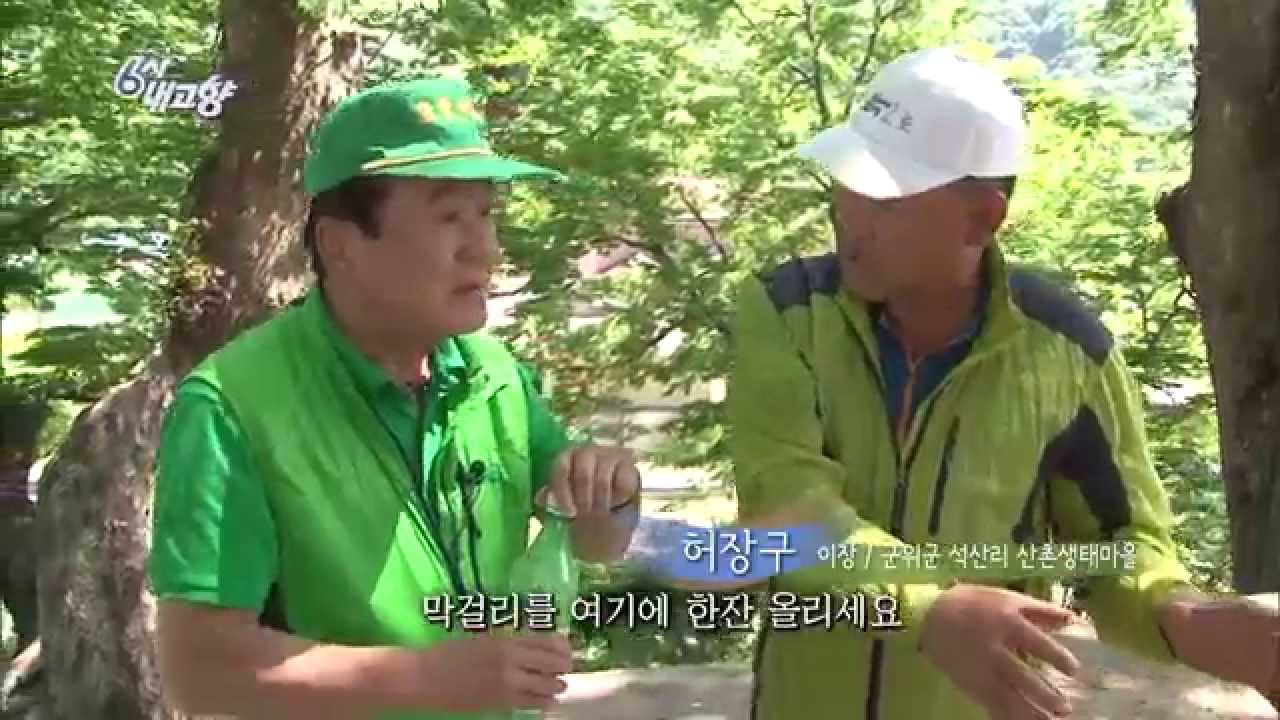 [HIT] 6시 내고향 - 자연을 벗삼아 사는 석산리 산촌 생태마을, 경북 군위 1.20150608