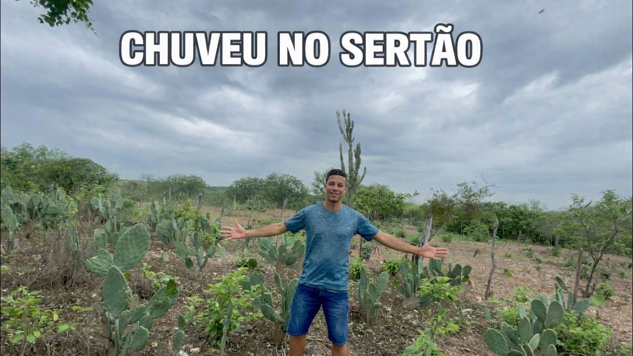 CHUVA BOA E ABENÇOADA NO SERTÃO NORDESTINO 
