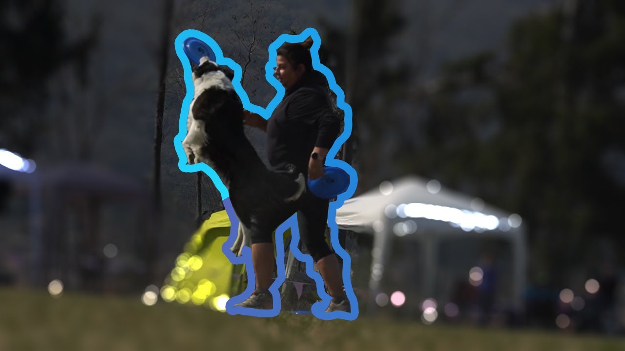 Jolana Krátká & Tyga 2. round - USDDN ITALIAN QUALIFIER 2022: Pink Cup Ac (dogfrisbee slow motion)