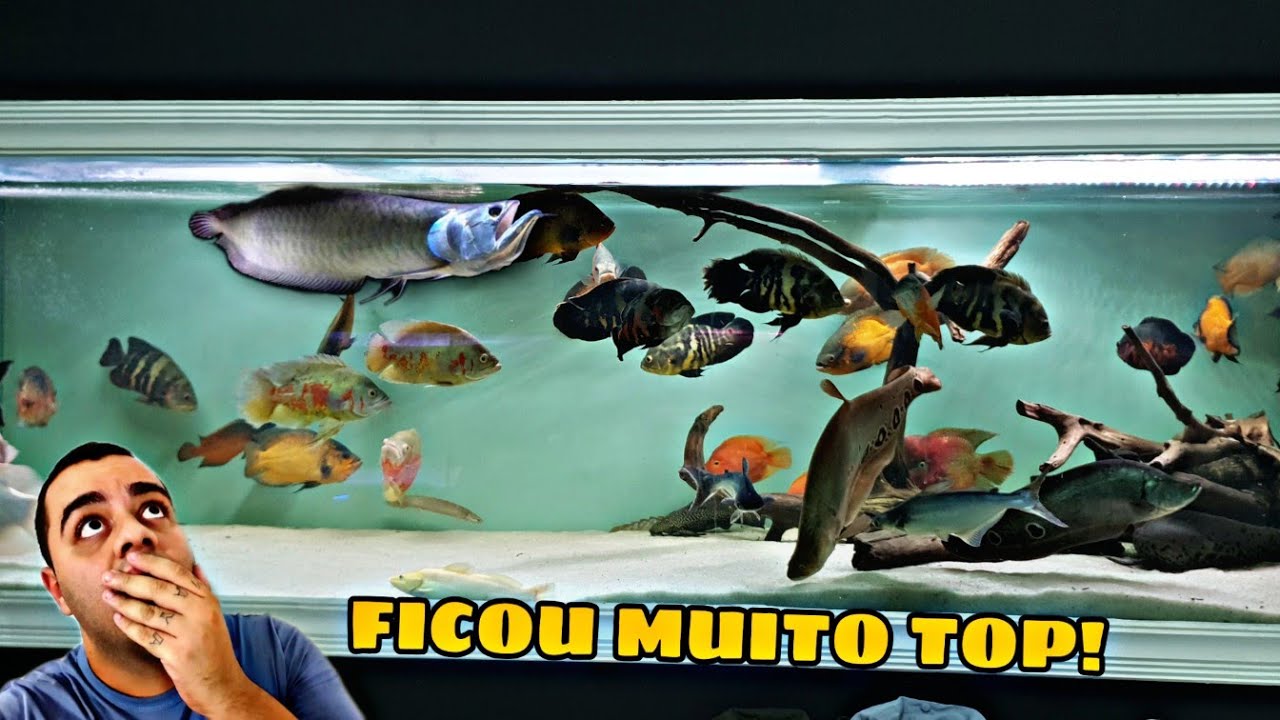 PINTEI DE BRANCO O FUNDO DO AQUÁRIO JUMBO DE 3 METROS