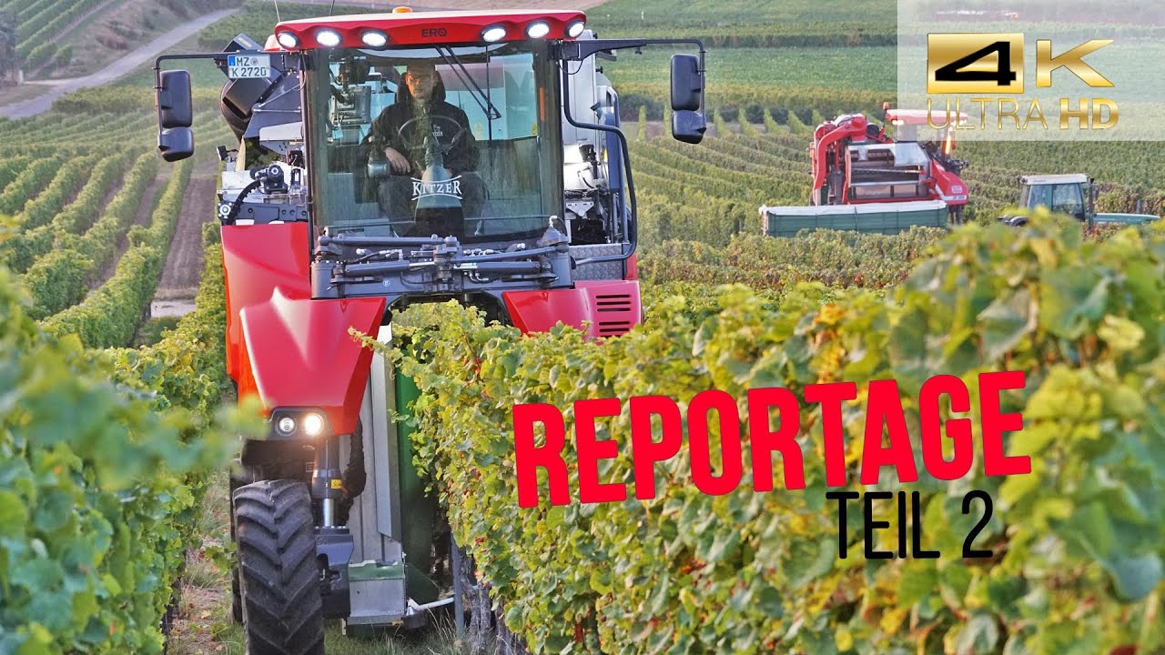 Zu Besuch auf dem Weingut Kitzer (ERO Vollernter & Fendt Traktoren | Teil 2 🍷)