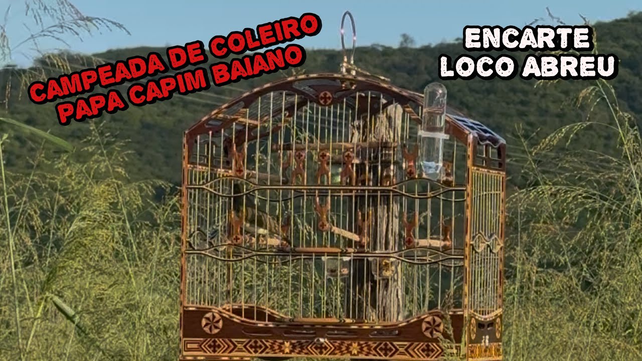 LOCO ABREU NO MATO PURA CANTORIA encarte rápido !!!!!
