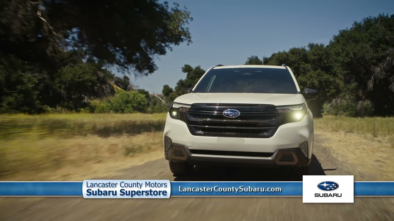 Subaru Share the Love Event at LCM Subaru