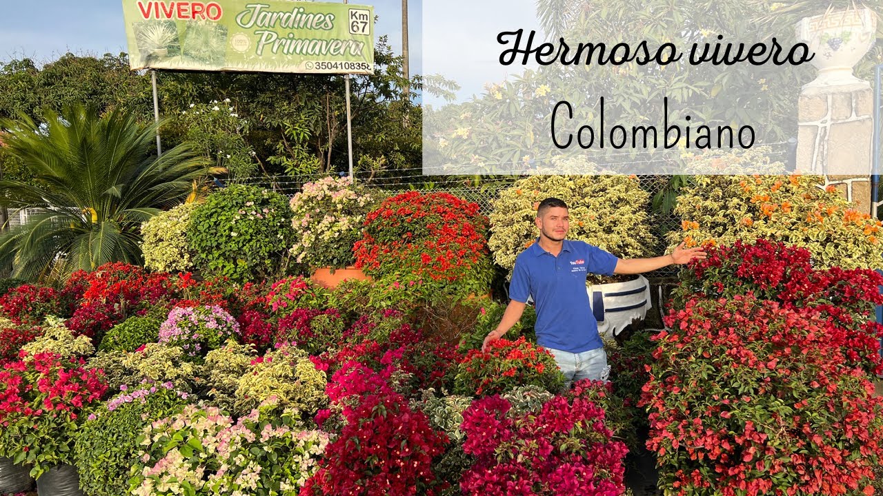 VIVERO JARDINES PRIMAVERA | El paraíso de las plantas