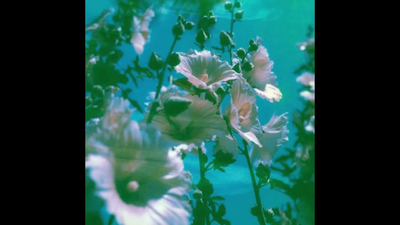 Shades of cool Cover