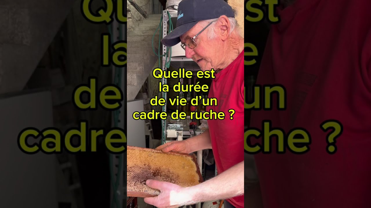 Comment bien réutiliser les cadres des ruches déjà bâtis !