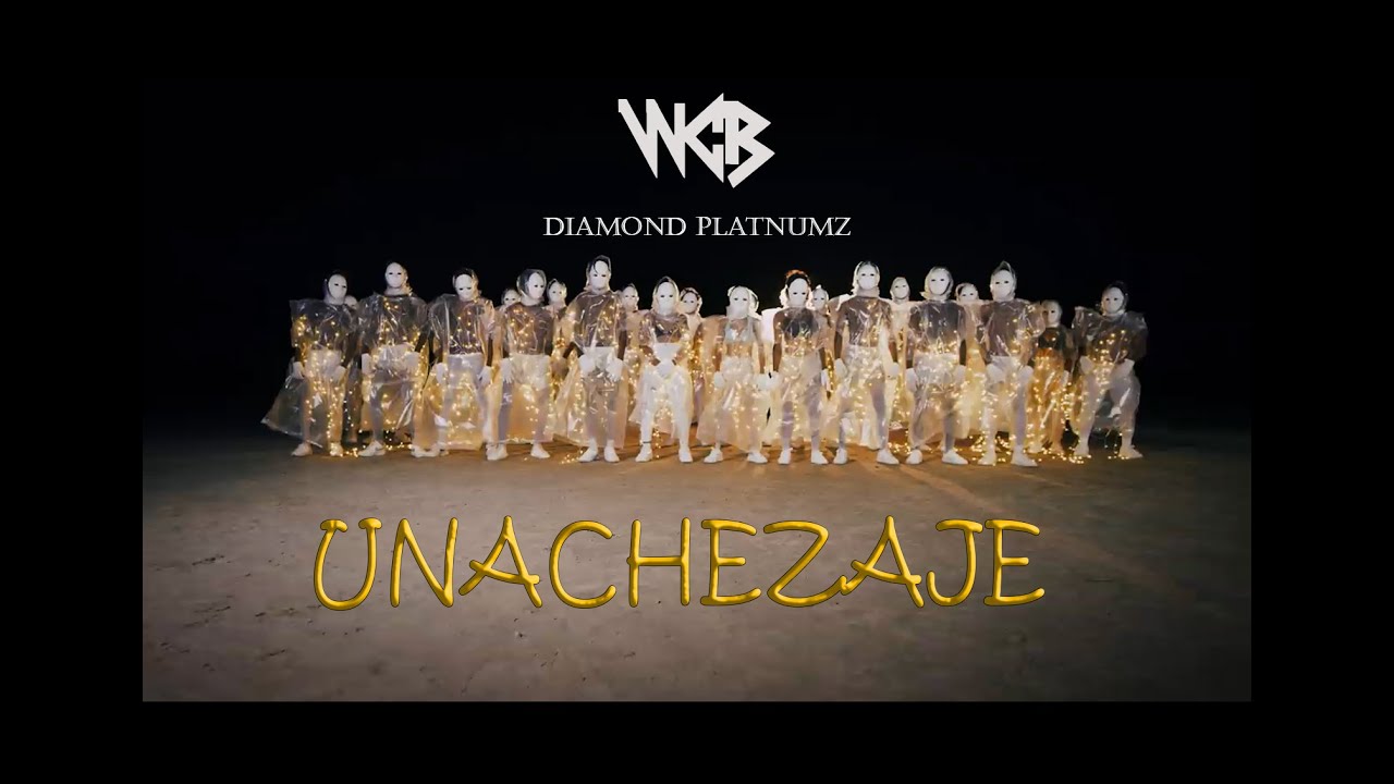 Diamond Platnumz - Unachezaje (Official Music Video)