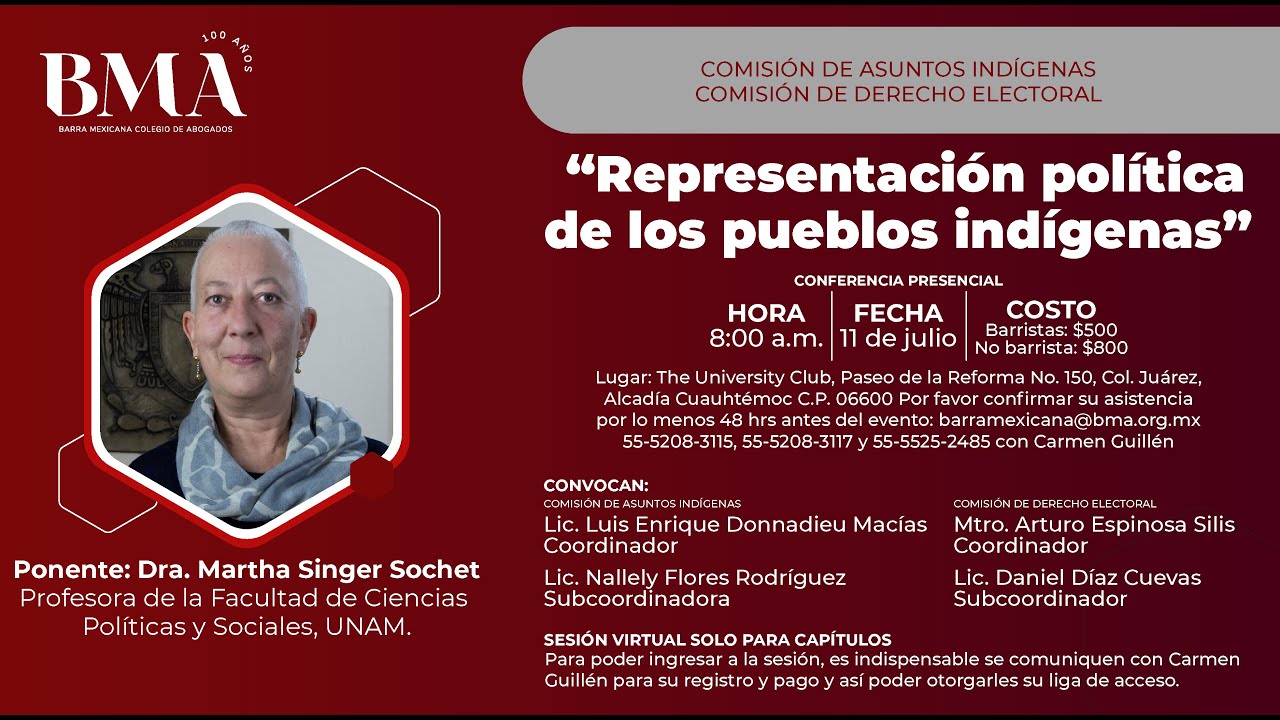 Representación política de los pueblos indígenas.