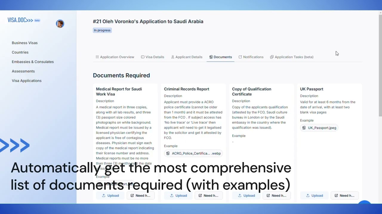 VisaDoc Overview - how business visa compliance automation works