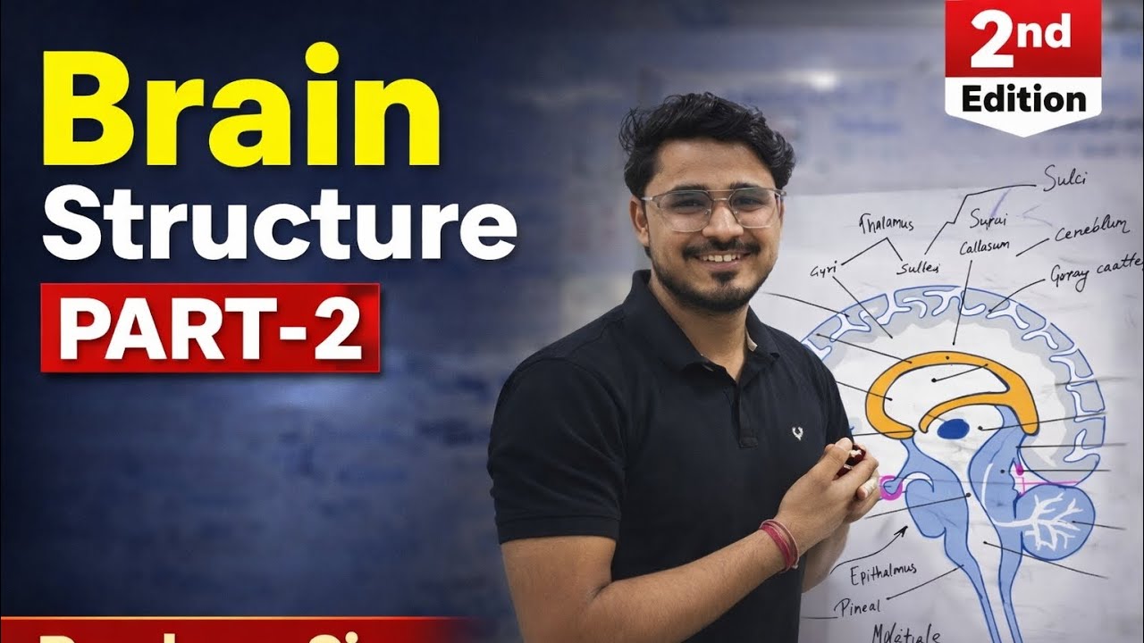 Structure of Brain part -2 Neural control and coordination by Pradeep sir 