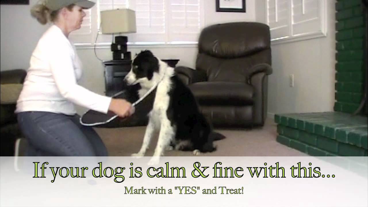 Injury - Cone Desensitizing 