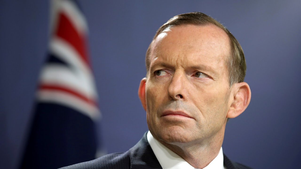 Tony Abbott set to become next federal Liberal Party president