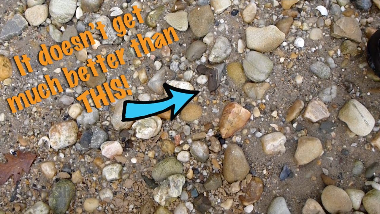 Fossil Hunt DEC 16, 2016: Hunting on the Potomac