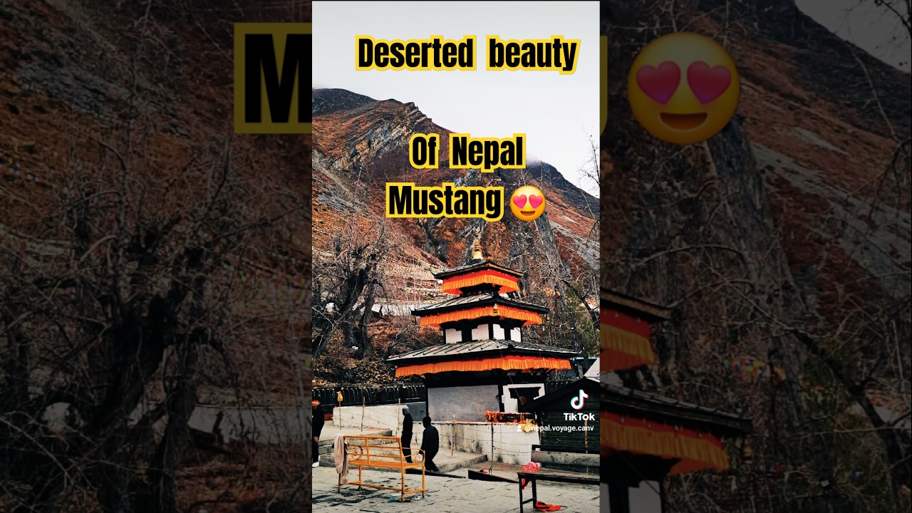 Desert Beauty of Nepal/ Mustnag