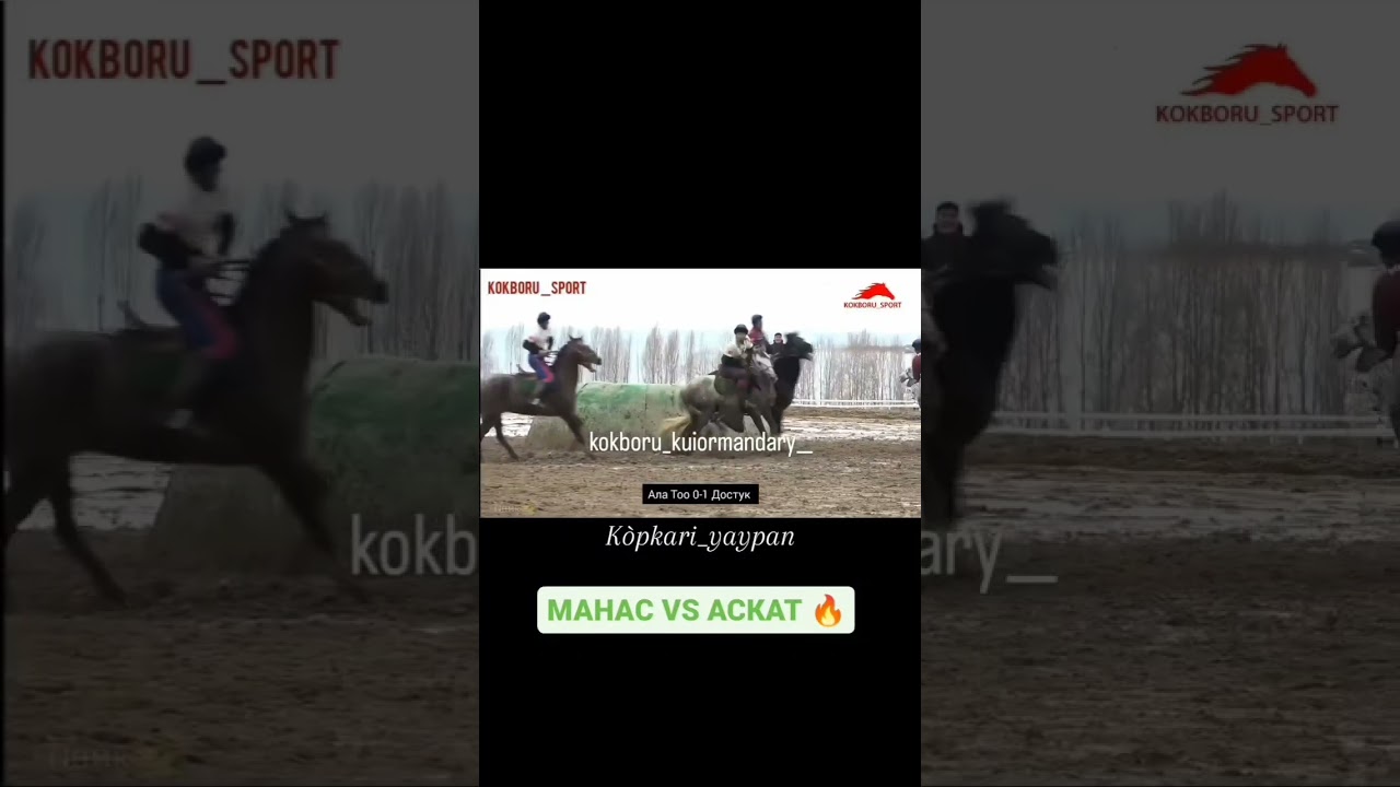#кокбору