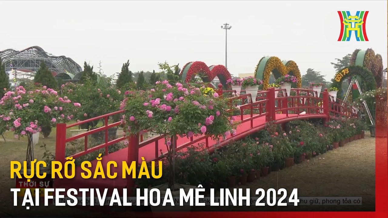 Rực rỡ sắc màu tại Festival hoa Mê Linh 2024 | Tin tức