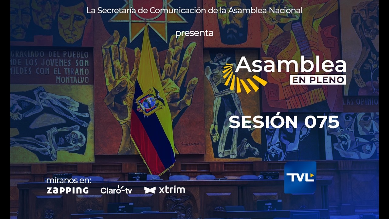 Votación de la moción de la asambleísta Ana Belén Tapia - Sesión 075