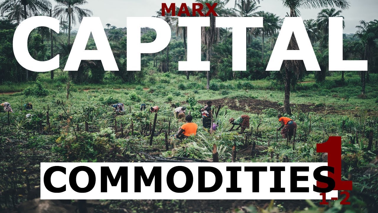 Understanding Marx's Capital Volume 1 Chapter 1 - Commodities (Sections 1-2)