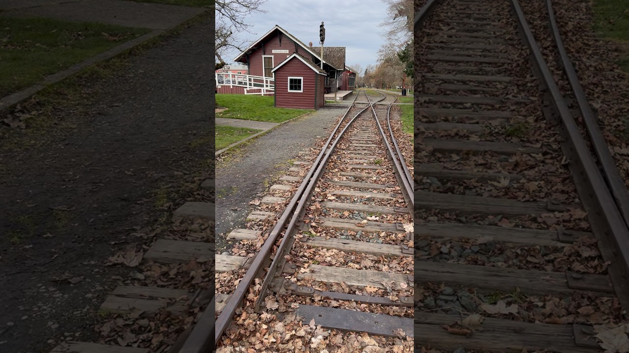 Where the tracks end | Immersive Walk 