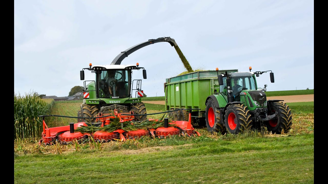 Agrijoe sprl a l'ensilage des maïs avec une Fendt Katana 650