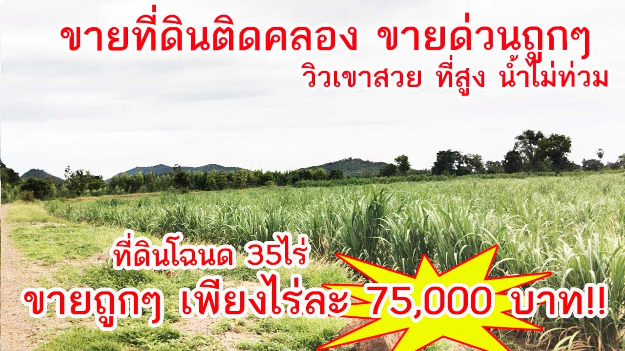 ต้องการขายด่วน ขายที่ดินติดคลองน้ำ ราคาถูก ขายเพียง 75000บาท/ไร่ ชัยนาท เห็นวิวเขาสวย