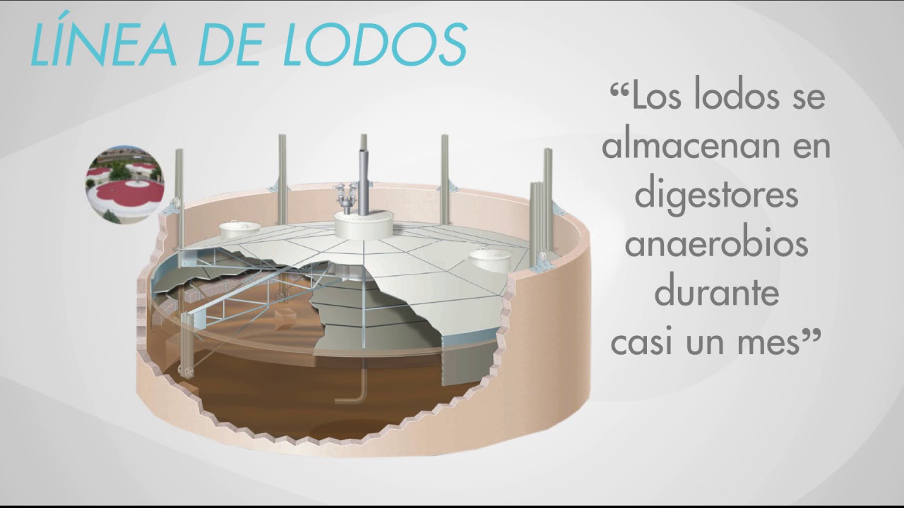 Depuraci&oacute;n de Aguas residuales