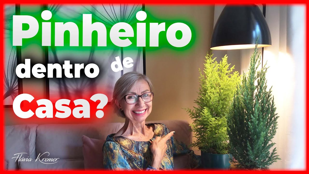 Como cuidar do PINHEIRO DE NATAL em casa | FLÁVIA KREMER